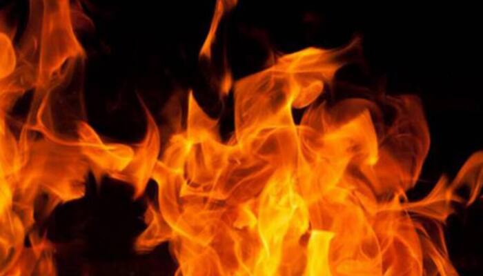 આંધ્ર પ્રદેશમાં ફટાકડા બનાવતી ફેક્ટરીમાં ભીષણ આગ લાગી, 20 લોકો જીવતા ભૂંજાયા