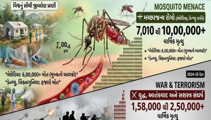 દુનિયાના સૌથી ખૂંખાર આતંકવાદી, જાણી લો દુનિયાના સૌથી નાના પણ સૌથી ઘાતક જંતુની કહાની