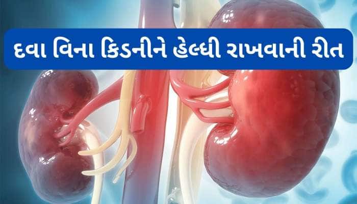 Kidney Friendly Foods: કિડનીને હેલ્ધી રાખવા શું ખાવું અને શું ખાવાનું છોડી દેવું ?