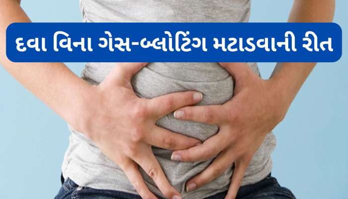દવા વિના ગેસ, બ્લોટિંગથી રાહત મેળવવા આ 5 માંથી કોઈ 1 રીતે ફુદીનાનો ઉપયોગ કરો