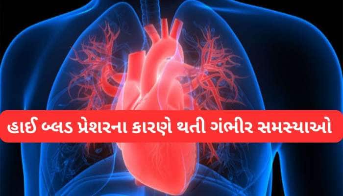 હાઈ બ્લડ પ્રેશર બ્લડ વેસલ્સમાં કરી નાખે કાણાં, કોલેસ્ટ્રોલ ડાયાબિટીસ કરતાં પણ ખરાબ