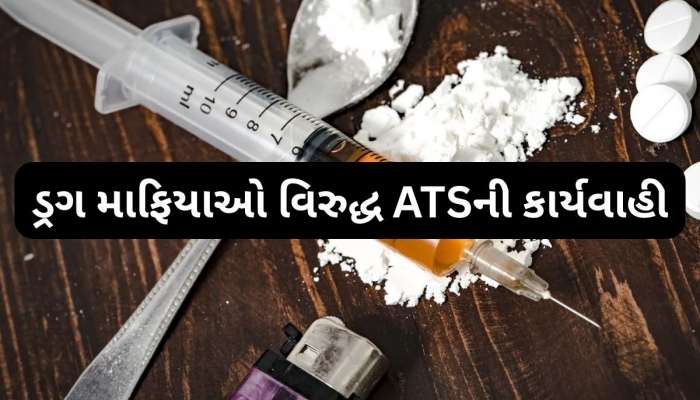 આંતરરાષ્ટ્રીય સ્તરે નશાકારક દવાઓની હેરફેરના નેટવર્કનો પર્દાફાશ, વધુ બે આરોપીઓ ઝડપાયા