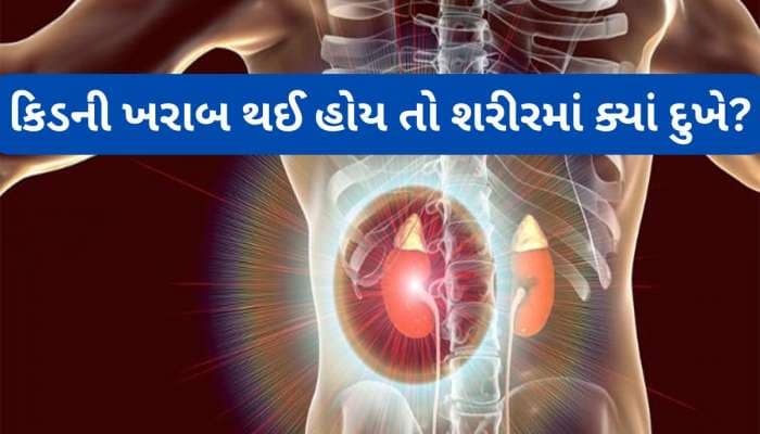 Kidneys : શરીરમાં આ ભાગોમાં થતો દુખાવો થતો ખરાબ થતી કિડનીનું હોય શકે છે લક્ષણ