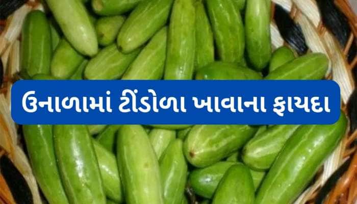 ઉનાળાની ઋતુમાં ખાવા માટે બેસ્ટ શાક છે ટીંડોળા, ફાયદા જાણશો તો રોજ ખાવા લાગશો આ શાક