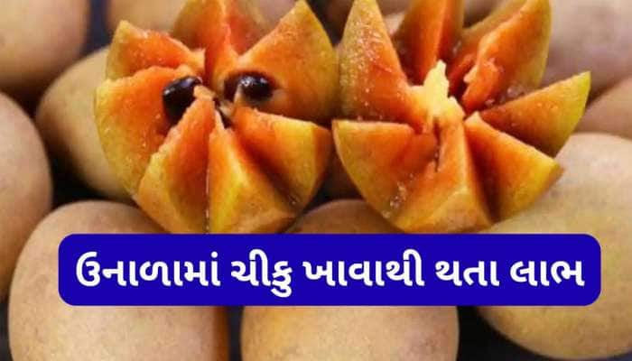 હાર્ટથી લઈ કિડની સુધીના અંગોને ફાયદો કરે છ ચીકુ, તેમ છતાં આ લોકોએ ખાવાનું ટાળવું