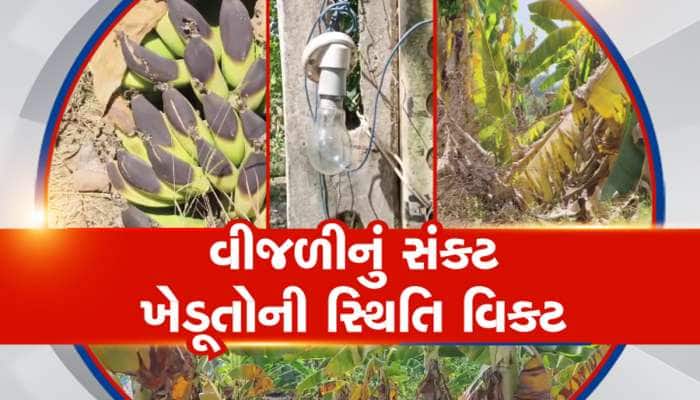 તંત્રની આળસ કે ખેડૂતોની કમનસીબી? 25થી વધુ બોરની મોટર બંધ, રજૂઆતો છતાં પરિણામ શૂન્ય