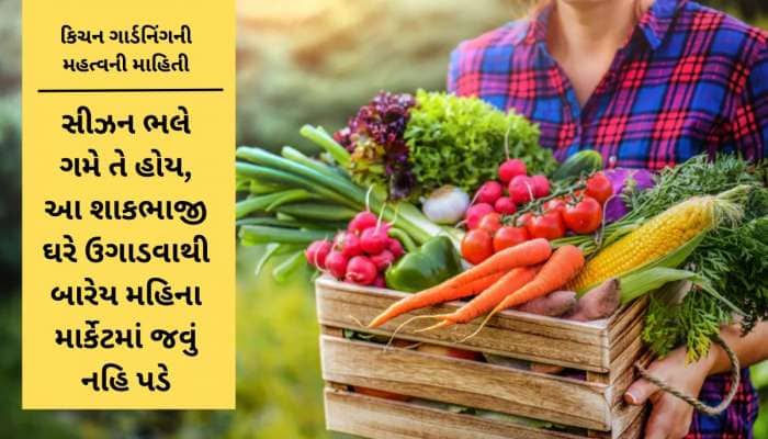 માર્ચ મહિનાનો ફાયદો ઉઠાવો : ઘરના કુંડામાં ઉગાડો શાકભાજી, ઓછી મહેનતે ઝટપટ ઉગી જશે