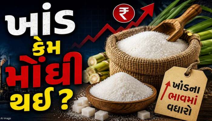 ખાંડના ભાવ વધવાનું કારણ ઇથેનોલ નથી, તો કેમ વધ્યા ભાવ ? સરકારે આપ્યા બે કારણ
