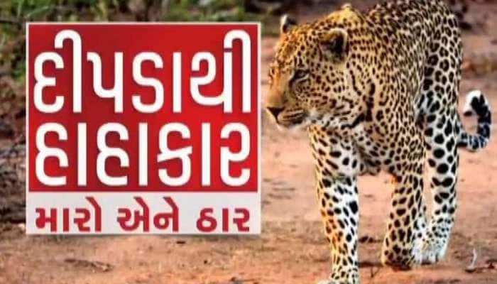 માનવભક્ષી દીપડાને દેખો ત્યાં ઠાર મારવાના આદેશ, પ્રાણીઓને પણ થઇ શકે છે આજીવન કેદ