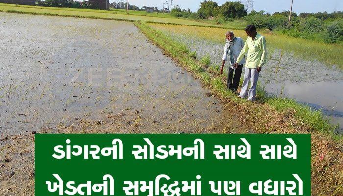 પ્રાકૃતિક ખેતીના પ્રહરી બન્યા ગુજરાતના આ ખેડૂત, સામાન્ય ખેતીમાં પણ સોના જેવી આવક રળે