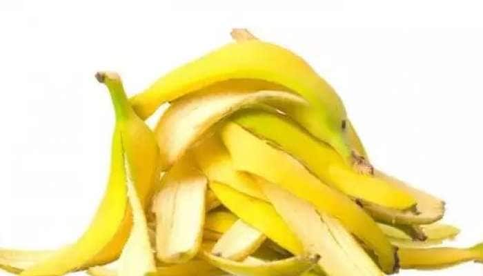 કેળાની છાલ ન ફેંકશો: સોનાથી પણ કિંમતી છે કેળાની છાલ, જલદી જાણીલો આ ફાયદા